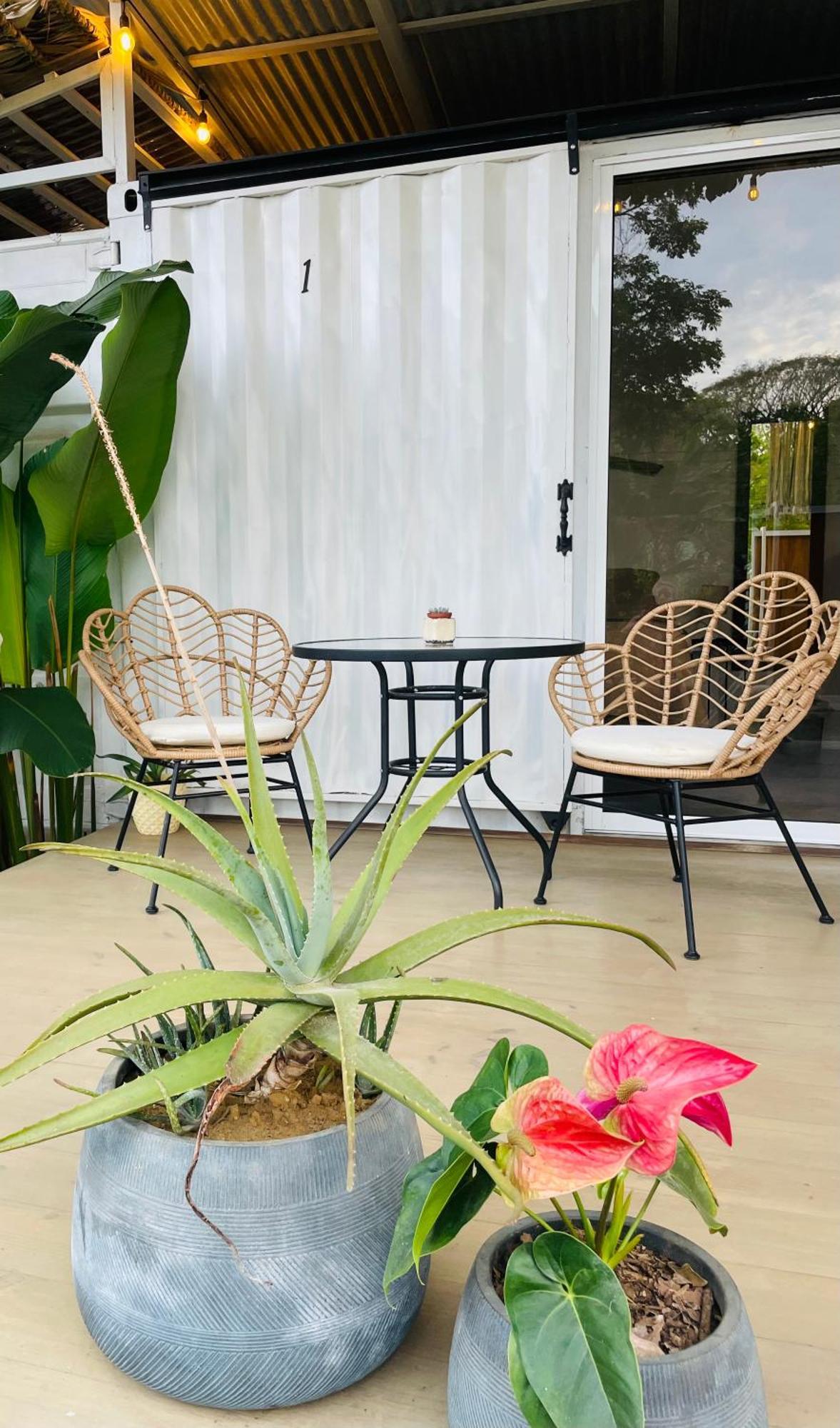 Casa Luce Bed & Breakfast Puerto Viejo de Talamanca Екстериор снимка