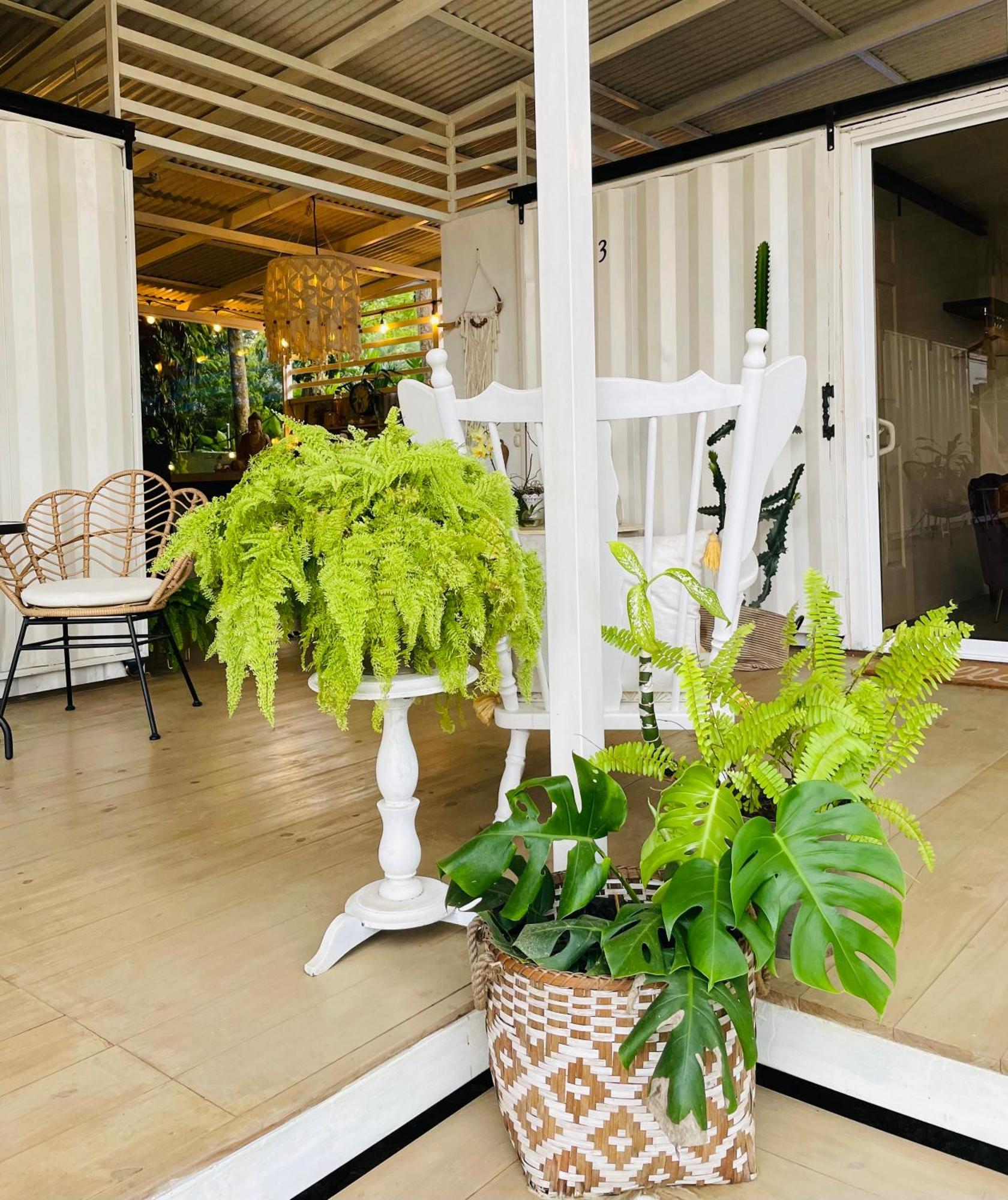 Casa Luce Bed & Breakfast Puerto Viejo de Talamanca Екстериор снимка